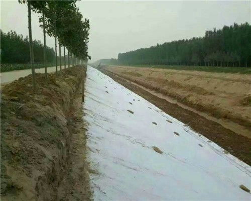 黃南300g護坡防水土工布 優質防護，當日發貨，歡迎選購與格柵搭配使用