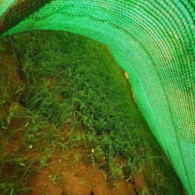 長治三維土工網(wǎng)墊實(shí)業(yè)集團(tuán) 以高品質(zhì)格柵產(chǎn)品引領(lǐng)工程材料革新